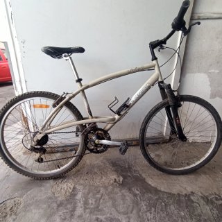Bicicleta de montaña