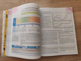 Economia 1r Batxillerat - Mediterrània