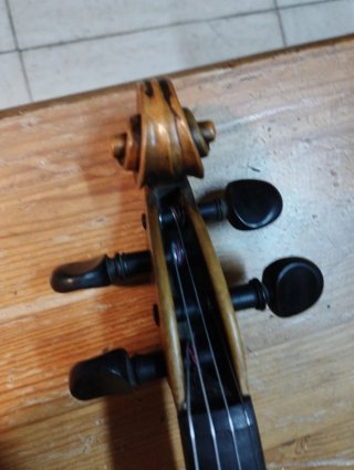 Violín Profesional