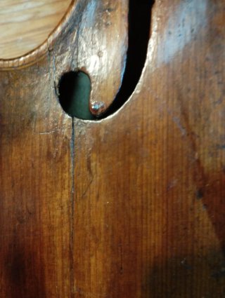 Violín Profesional
