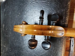 Violín Profesional