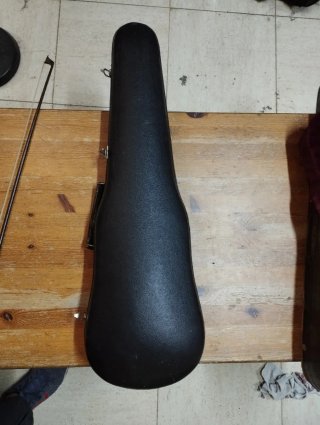 Violín Profesional