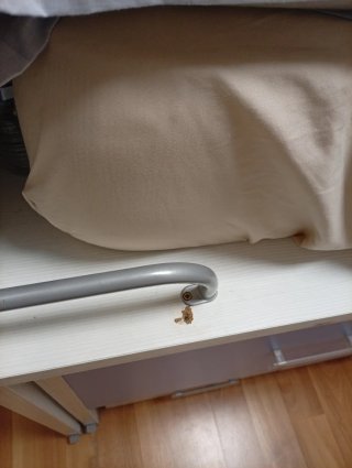 Cama juvenil con cajones