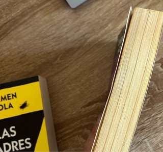 Saga de libros de Carmen Mola