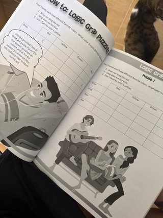 The Big Brain Teasers Book for Kids Boredom Bus...