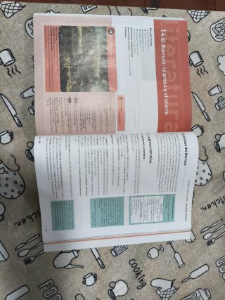 Lengua castellana y literatura, 1 Bachillerato