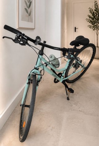 Bicicleta Riverside Mint Green