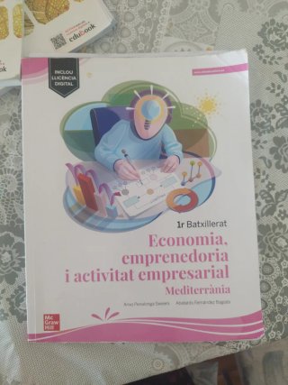 Economía emprenedoria i activitay empresarial medi