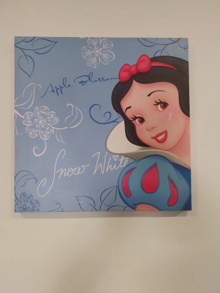 Cuadros Disney Princesas