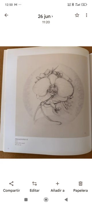 Libro Marta Chirino: La naturaleza al detalle