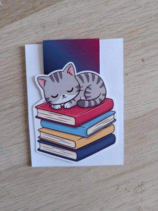 Marcapáginas magnético gato durmiendo