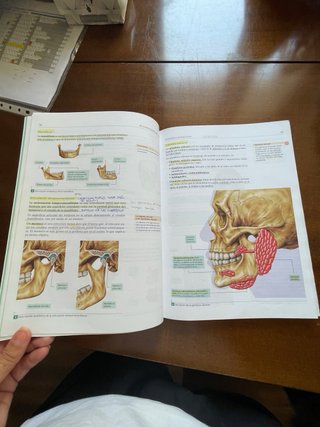 Técnicas de ayuda odontológica y estomatológica