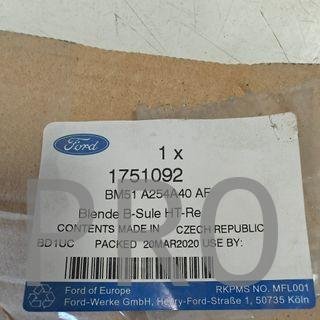 MOLDURA PUERTA TRASERA DERECHA FORD FOCUS NUEVO