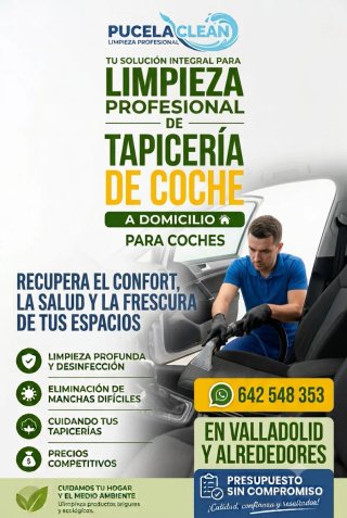 Limpieza de tapicería de coches a domicilio.