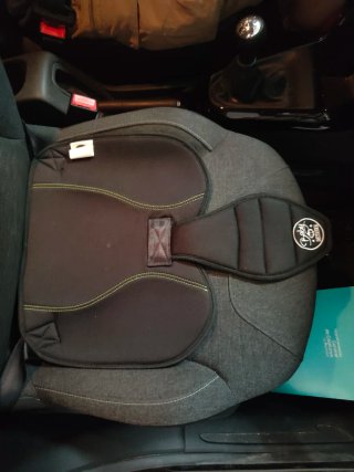 Cinturón Embarazo Seguridad Coche