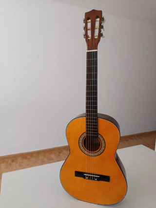 Guitarra Sonora G36C