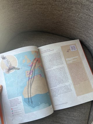 Volando van: Relatos de aves viajeras