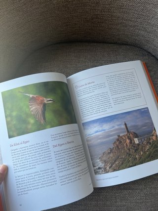 Volando van: Relatos de aves viajeras