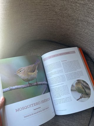 Volando van: Relatos de aves viajeras