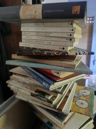 Lote de libros por mudanza
