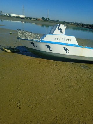 Barco Tailon 5 metros