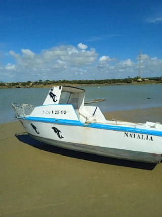 Barco Tailon 5 metros