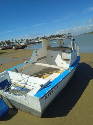 Barco Tailon 5 metros