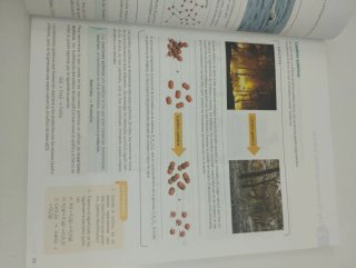 Física y química 4 ESO