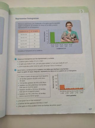 Matemáticas, 6 Primaria Saber Hacer Contigo
