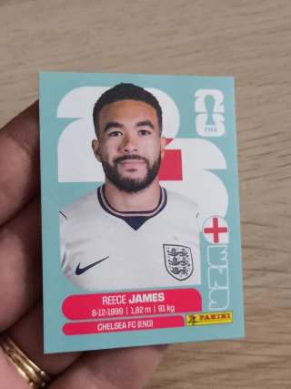 REECE JAMES CROMO PANINI FIFA MUNDIAL 2026