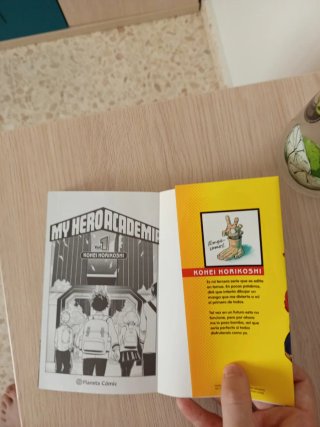 My hero academia 1