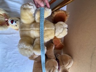 Lotto 3 peluche: 2 cani e 1 orso