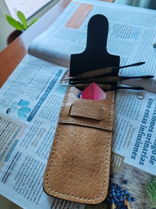 Dardos profesionales con funda