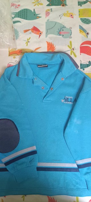 Sudadera Colegio Arula Talla 2