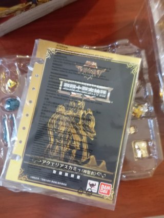 Saint Seiya Myth Cloth Camus Acuario Soul of God