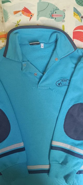 Sudadera Colegio Arula Talla 3