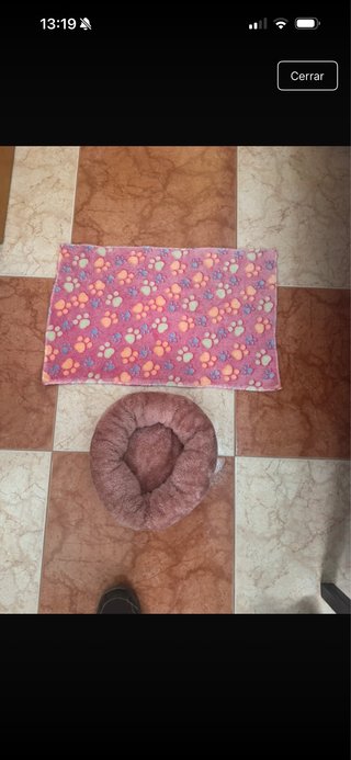 Pack Cama y Manta para Perro