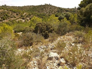 Terreno en venta en Les Brises de Calafell - Segur de Dalt en Calafell