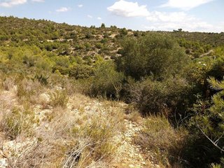 Terreno en venta en Les Brises de Calafell - Segur de Dalt en Calafell