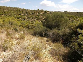 Terreno en venta en Les Brises de Calafell - Segur de Dalt en Calafell
