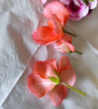Pendientes Geranio Coral