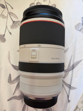 Canon RF 70-200mm f2.8 L IS USM