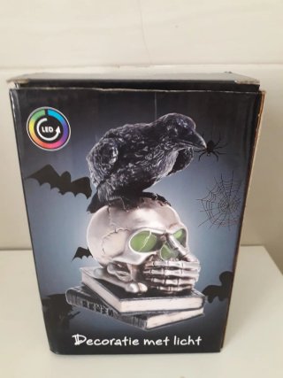 Figura calavera cuervo y libros