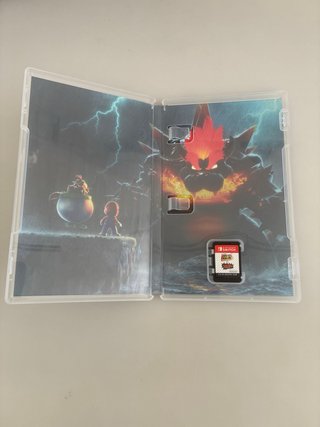Super Mario 3D World + Bowser's Fury Switch