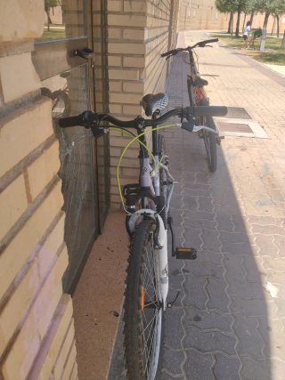 Bicicleta infantil morada