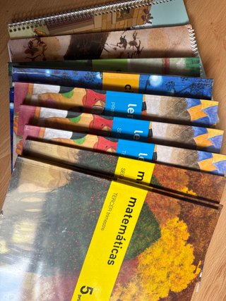 Libros 5 primaria SM savia