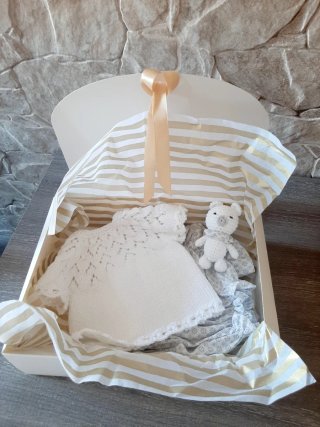 Conjunto bebé: Jersey y cubrepañal con osito.