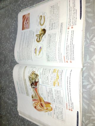 Biología y Geología 3º ESO. Libro del estudiant...