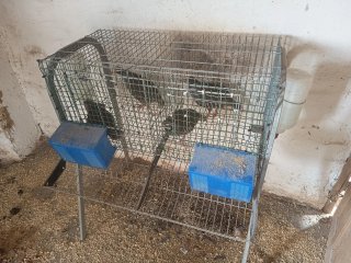 Jaula para gallinas, codornices o perdices