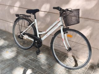 Bicicleta paseo